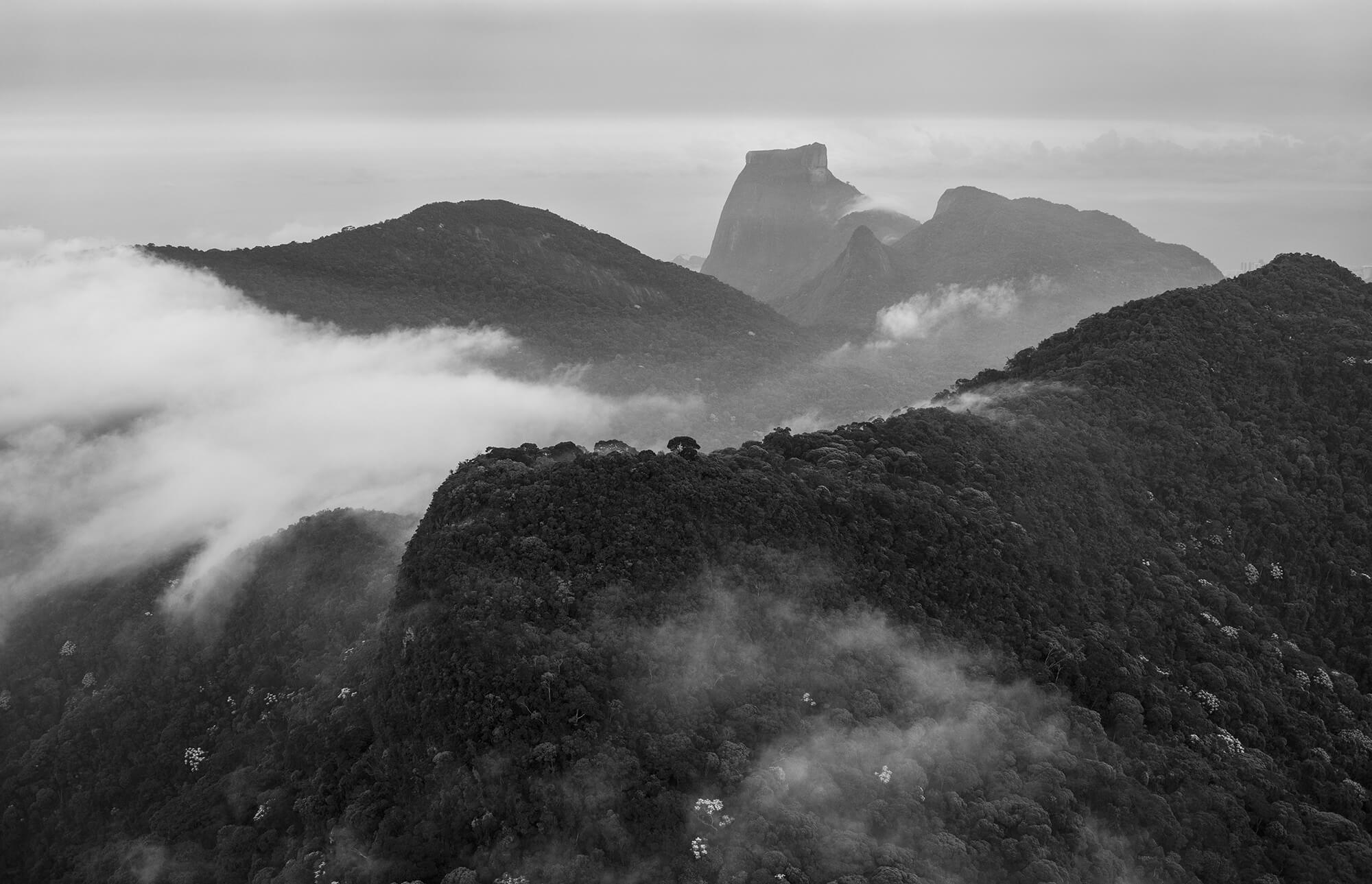 Floresta da tijuca  2016