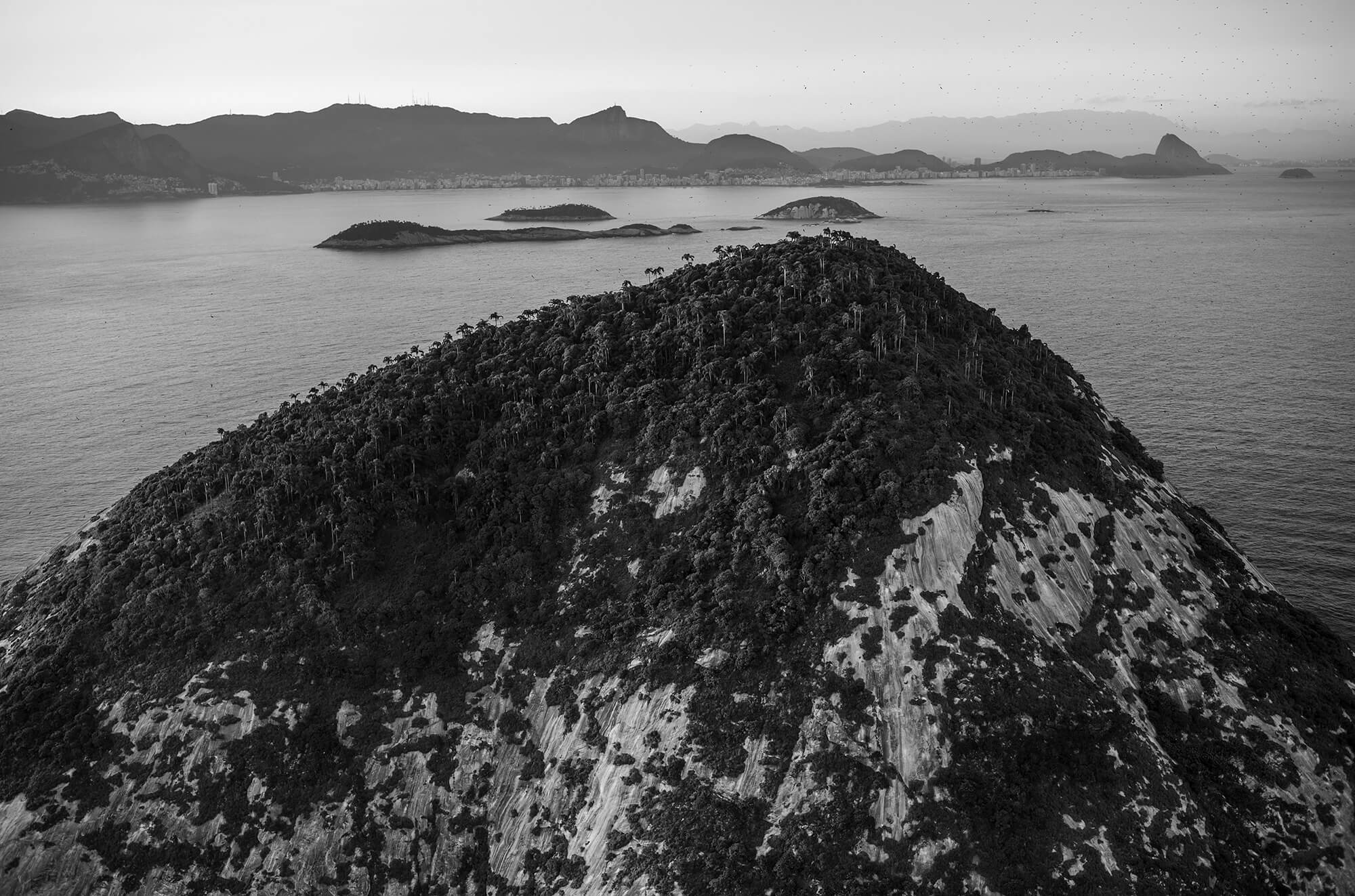 Ilha redonda